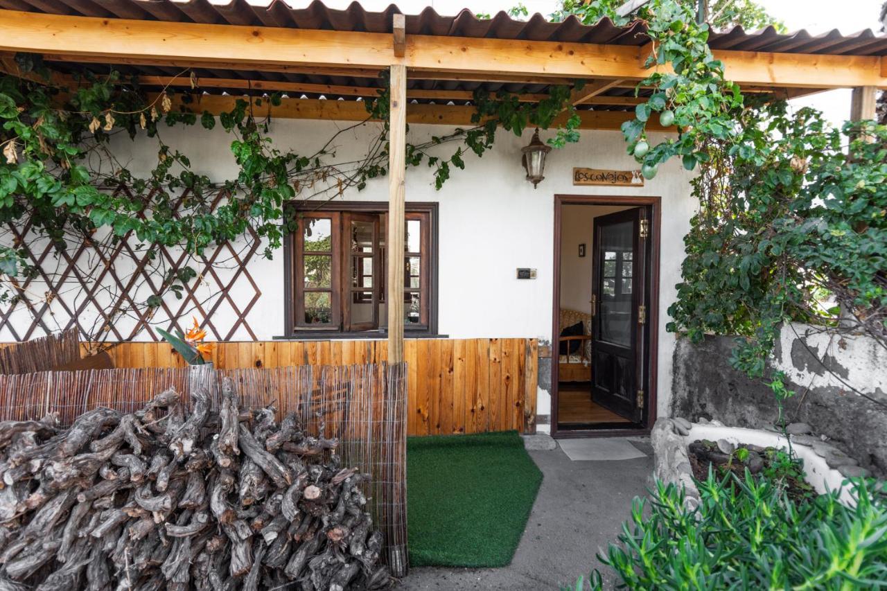 Los Conejos Santa Cruz de Tenerife Ngoại thất bức ảnh
